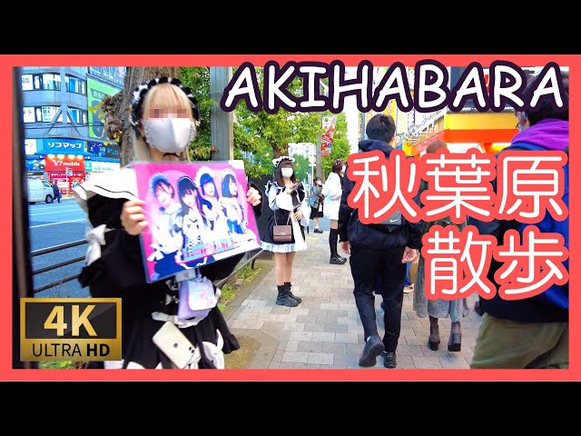 秋葉原 散歩 アイドル通り 4K Akihabara walk maids street