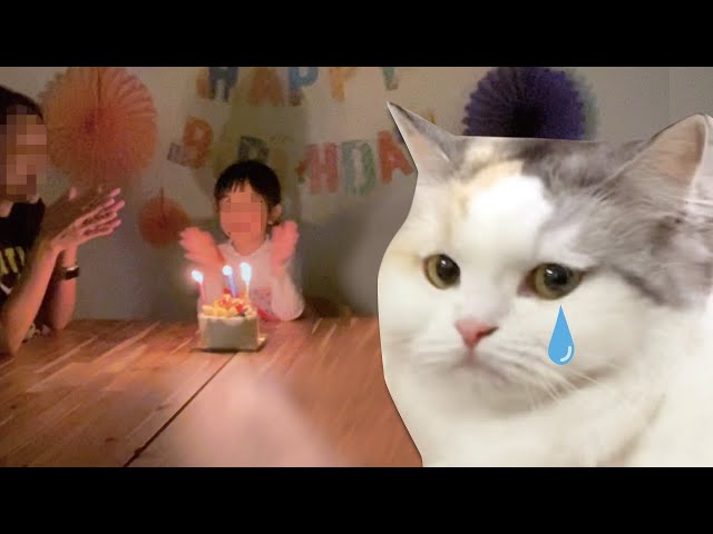 一緒に誕生日をお祝いしたくて悲しそうな猫【おしゃべりする猫】