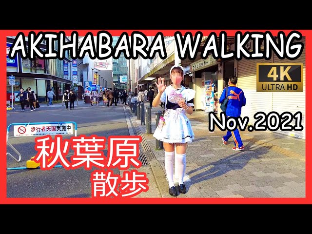 秋葉原 散歩 4K Akihabara walk maid street