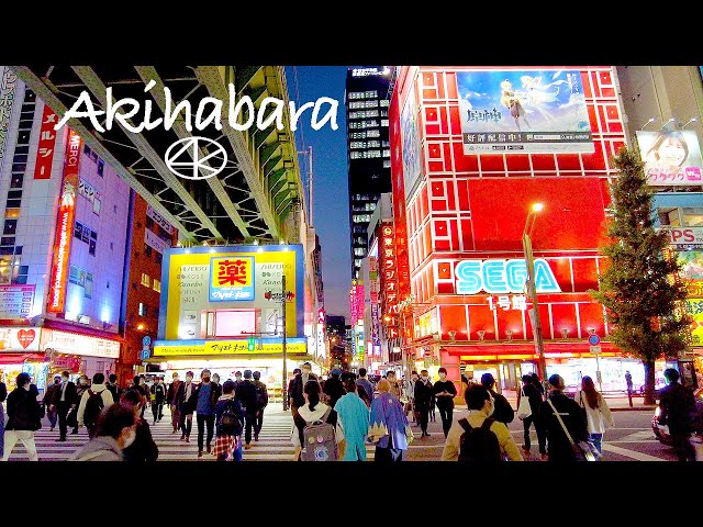 4K 秋葉原メイド通りアキバ中央通り Japan,Tokyo Akihabara Maid street Chuo-dori Night walk