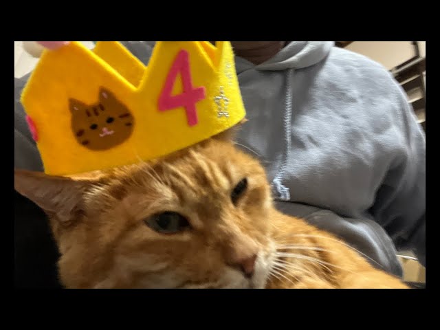 ウチューネコチャンズ 16th LIVE チャー坊家猫4周年ありがとう記念