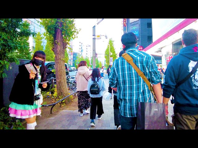 💖Akihabara Walk in Tokyo 💖👯‍♀️🍹🎀 Maid Cafe Paradise ♪ 🍰🥤🐶📺 4K ASMR Nonstop 1 hour 03 minutes ⌚