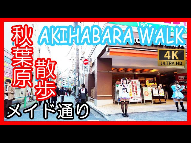 秋葉原 散歩 4K メイド 通り アイドル通り 散策（Nov. 2021） | Akihabara walk on Saturday , maid street