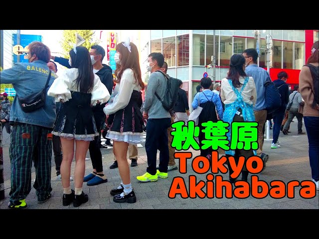 TokyoWalk-やっぱり最高😆楽しい-秋葉原歩き- Akihabara walk-2021.11.6(weekend)