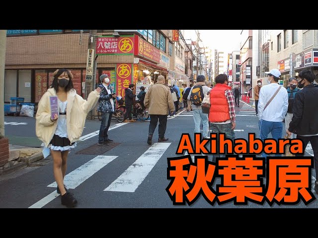 [秋葉原散歩] Walk in Akihabara | 歩行者天国開催中の秋葉原を歩く（2021年11月#1）