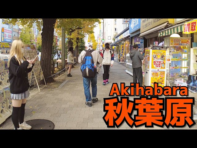 [秋葉原散歩] Walk in Akihabara | 歩行者天国で賑わう休日の秋葉原を歩く（2021年12月#3）