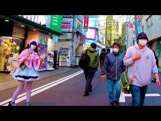 [Akihabara Walk in Tokyo] 💖 Maid Cafe Spot ♪ 4K ASMR Nonstop 1 hour 03 minutes