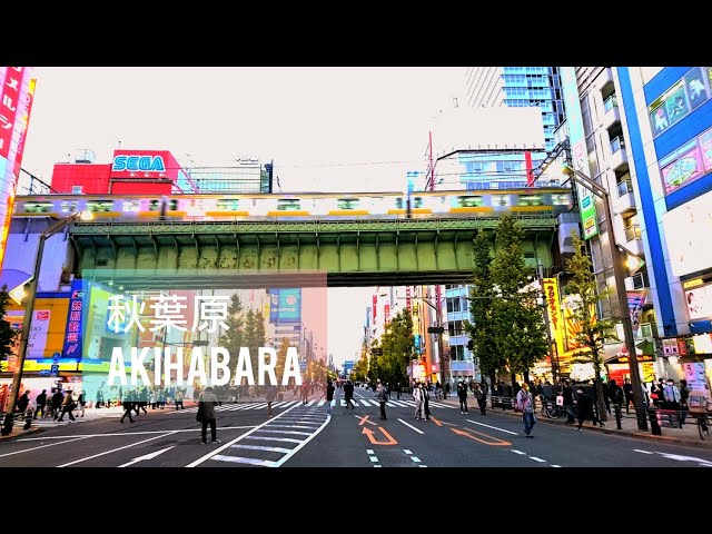 【4K】秋葉原を歩く、街散策 Walking in Akihabara Tokyo Japan