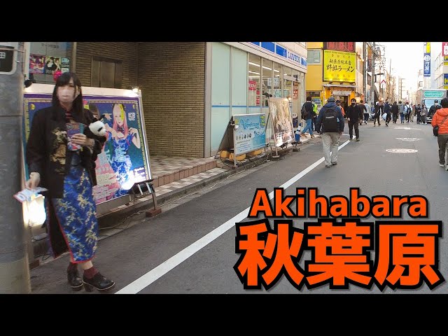 [秋葉原散歩] Walk in Akihabara | 休日の賑やかな秋葉原を歩く（2021年11月#3）