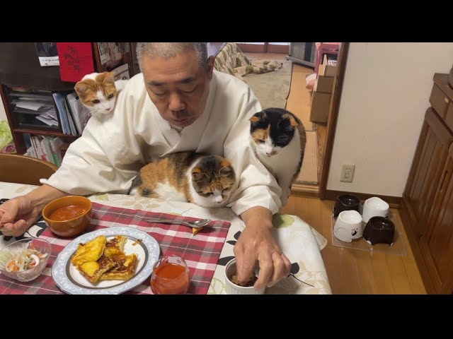 猫よりも朝ごはんがフレンチトーストだという事が気になるアナタは住職ヲタ。