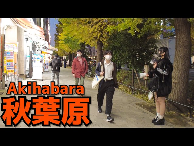 [秋葉原散歩] Walk in Akihabara | 金曜夕方の秋葉原を歩く（2021年11月#4）