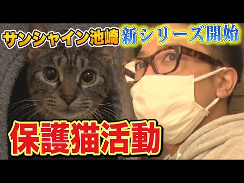 【保護猫活動】サンシャイン池崎！遂に新シリーズ開幕