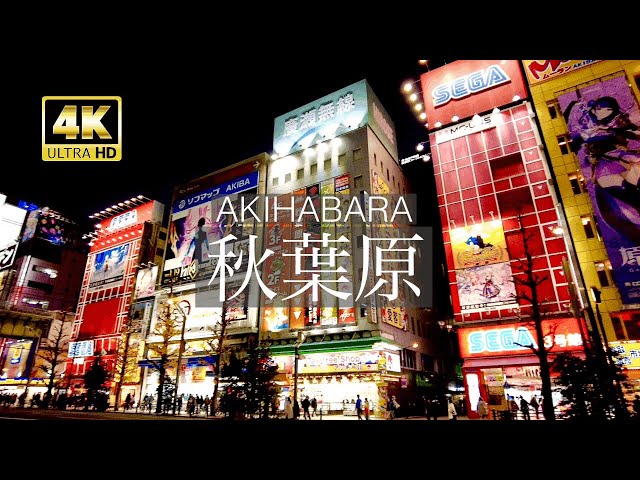 【4K】Akihabara walk in Japan | Tokyo 2022 | 秋葉原の夕暮れ散歩 | DJI Pocket 2