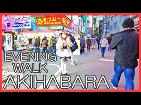 秋葉原 夕方 散歩 4K Akihabara Walking Tour in the evening