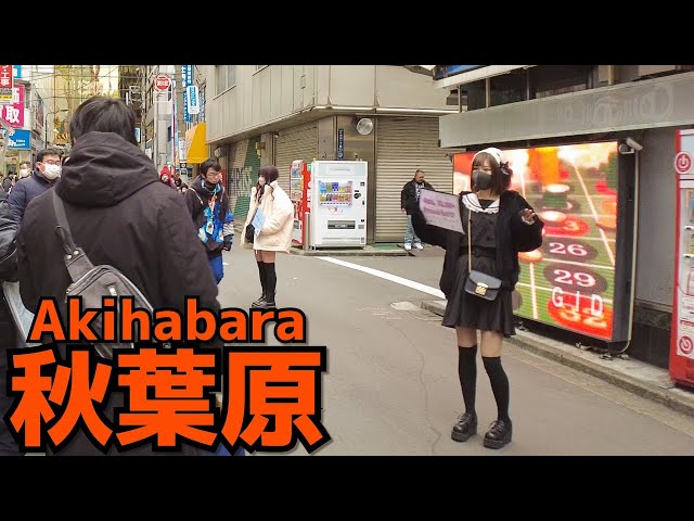 [秋葉原散歩] Walk in Akihabara | 大晦日に秋葉原電気街口周辺を歩く（2021年12月#5）
