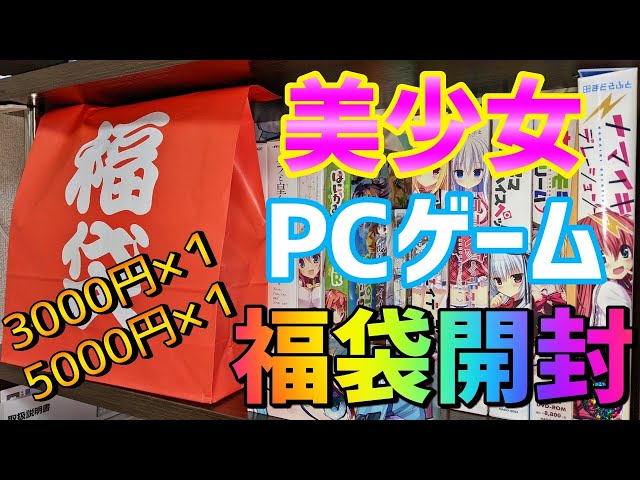 【2022年福袋】秋葉原で購入した美少女PCゲーム福袋を開封！