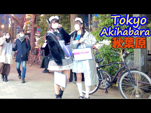 4k[Tokyo fun-loving Akihabara ]アニメオタクの街😃秋葉原行ったら何をする🙋‍♀️歩きます🚶a walk in Animation Town Akihabara2022.2