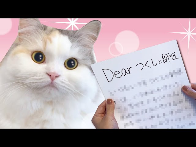 100年に1度のスーパー猫の日に感謝の手紙を書いてみた結果…【おしゃべりする猫】