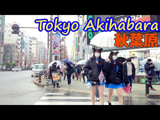 4k[Tokyo Fun Akihabara ] 可愛いメイドさんがこんなに多い秋葉原は😆初めてです。walk in AnimationTown Akihabara-2022.2