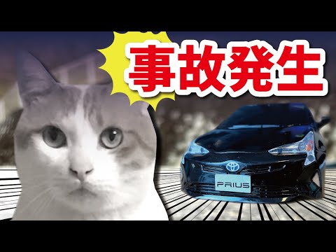 【悲報】先住猫、車に轢かれる【おしゃべりする猫】
