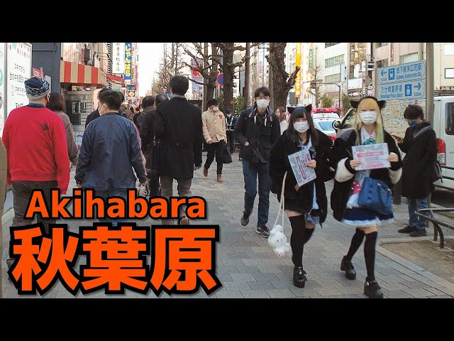 [秋葉原散歩] Walk in Akihabara (Jan. 2022#5) 月末土曜昼過ぎの秋葉原電気街口周辺を歩く