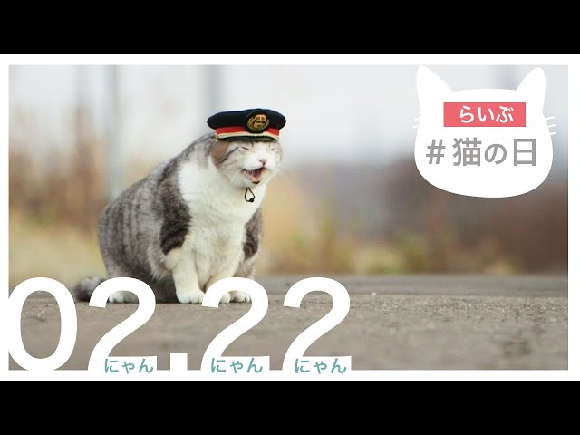 【LIVE】 猫のニュース 2月22日 #猫の日 〈FNNプライムオンライン〉