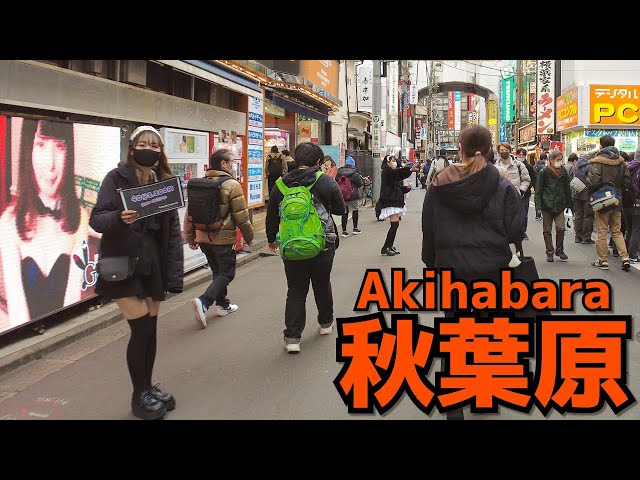 [秋葉原散歩] Walk in Akihabara (Feb. 2022#1) 土曜昼過ぎの賑やかな秋葉原電気街口周辺を歩く