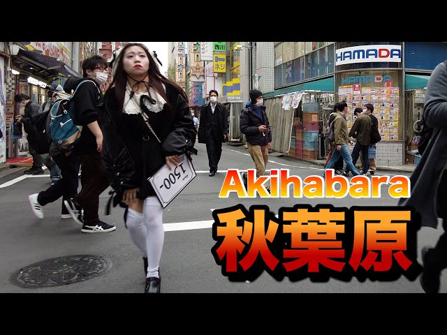 【４Ｋ60】walk in Akihabara【秋葉原をお散歩】2022年3月26日