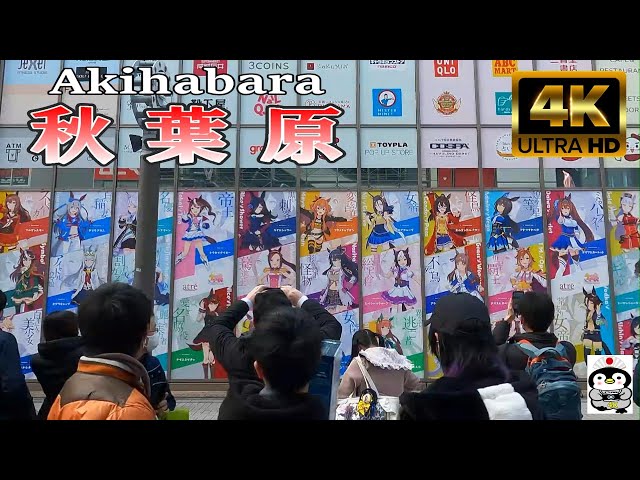 【4K】休日の秋葉原を散策 『Walking Akihabara on Holidays』🌻🌻🌻