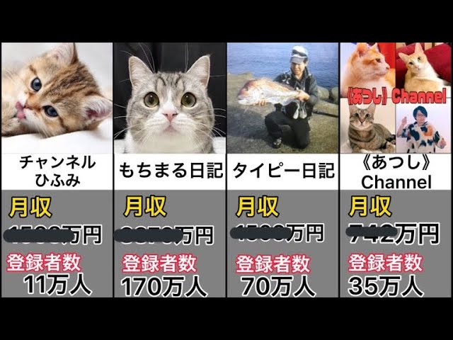 【想像を超える】人気猫系YouTuberの”月収”を調べたら驚きの結果が…!!