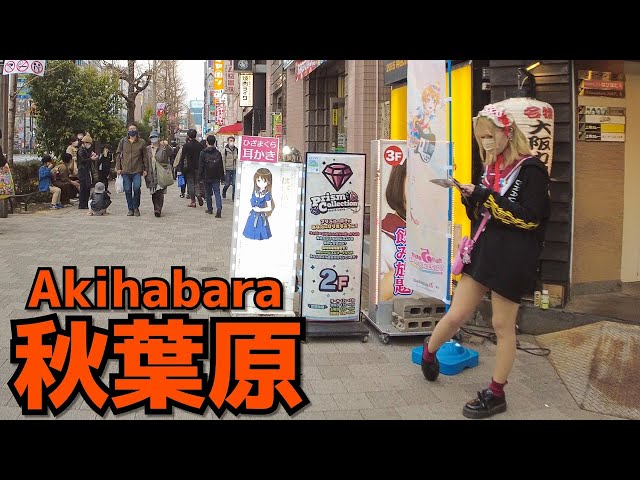 [秋葉原散歩] Walk in Akihabara (Mar. 2022#1) 3月休日午後 大勢の人で賑やかな秋葉原電気街口周辺を散歩