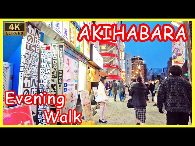 秋葉原 夕方 散歩 | Akihabara Maid Street in the evening (Feb. 2022)