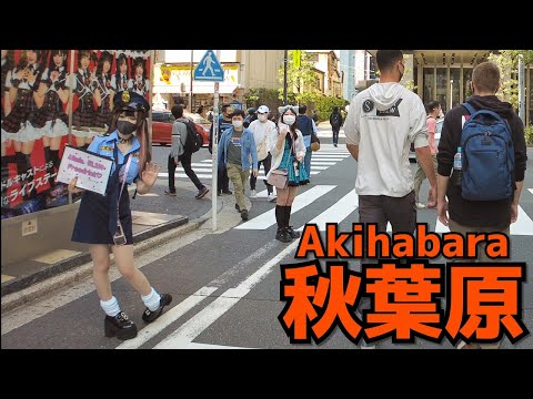 Akihabara Walk in Tokyo / Many Meids  and people (Apr. 2022#1)  | 土曜昼の秋葉原電気街口周辺を散歩