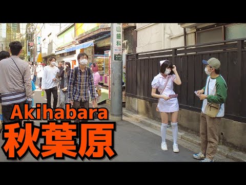 Akihabara Walk / Pedestrian paradise (Apr. 2022#2)  | 歩行者天国 4月日曜昼の秋葉原電気街口周辺を散歩