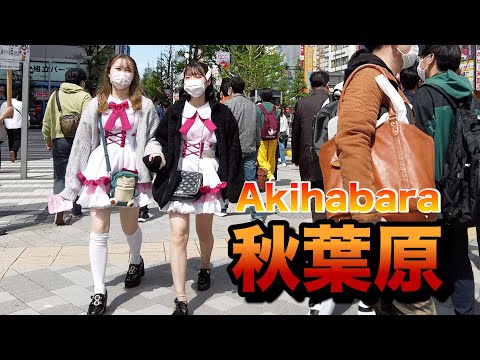 【４Ｋ60】walk in Akihabara【秋葉原をお散歩】2022年4月16日