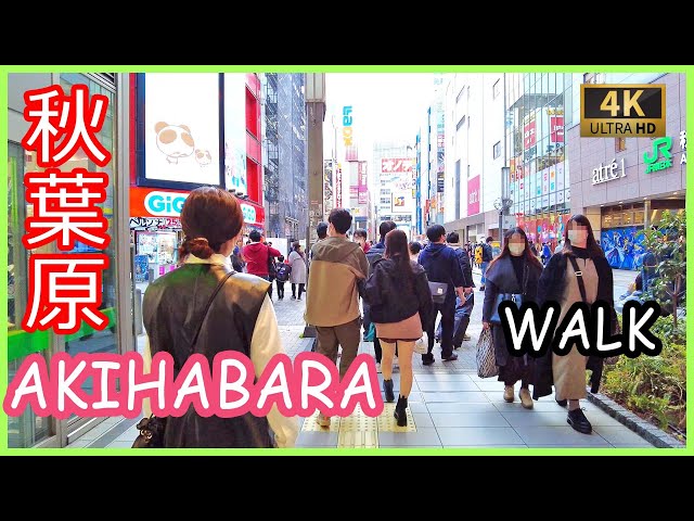 秋葉原 散歩 4k | Akihabara walk