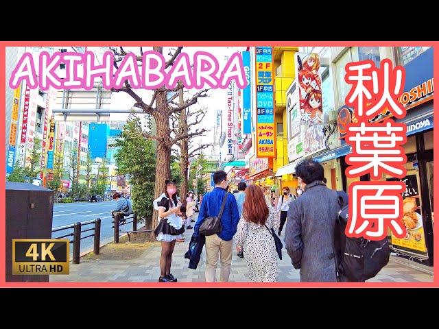 秋葉原　散歩　4K　Akihabara maid street walk