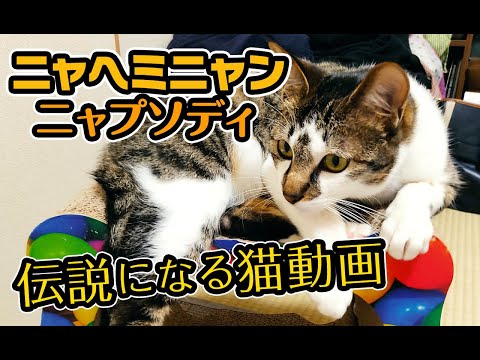 ニャヘミニャンニャプソディ_伝説になる猫動画〜にゃんともパレード〜#152