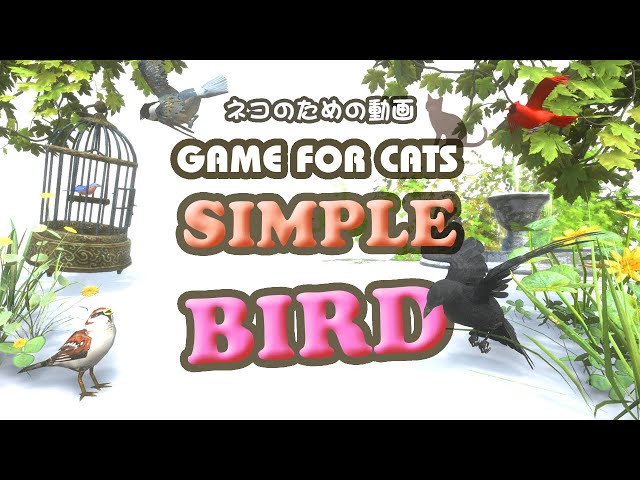 【猫用動画・鳥】GAME FOR CATS – SIMPLE – BIRD