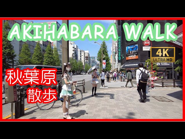 秋葉原　メイド通り　散歩　| Akihabara maid street , Anime town walking tour 4K