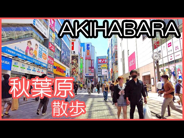 秋葉原　散歩　メイド通り　アイドル通り　4K | Akihabara walk maid street , anime town